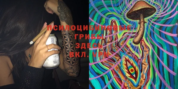 прущий лед Лиски