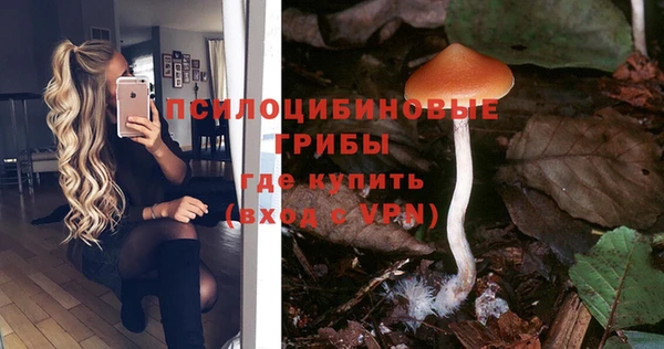 каннабис Михайловка