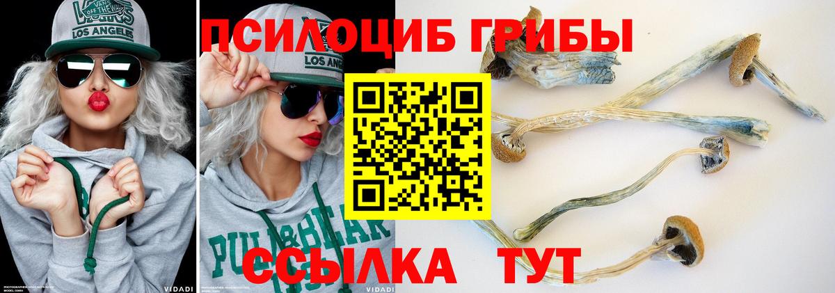 Галлюциногенные грибы Psilocybe Комсомольск-на-Амуре
