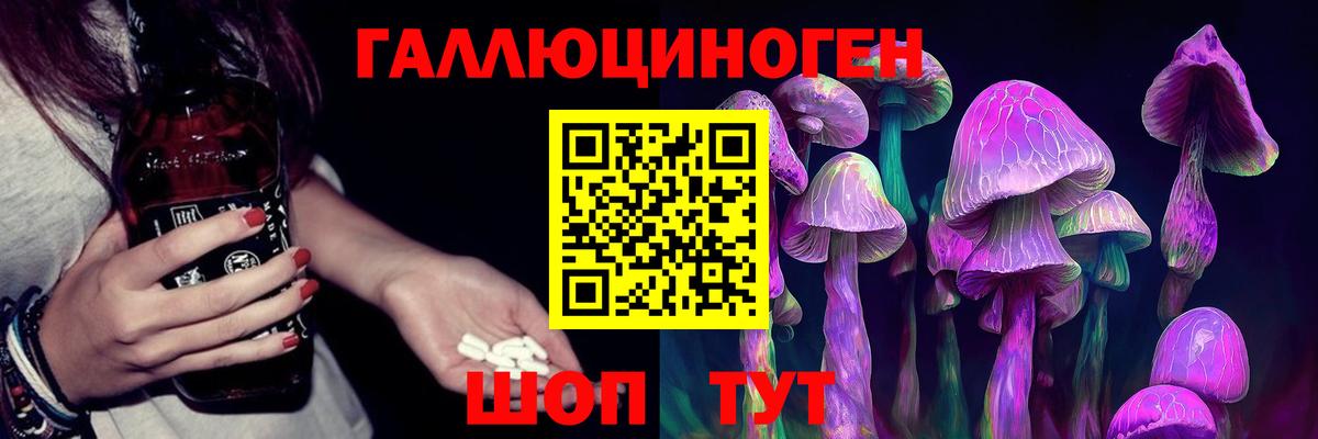 Псилоцибиновые грибы Psilocybe Комсомольск-на-Амуре